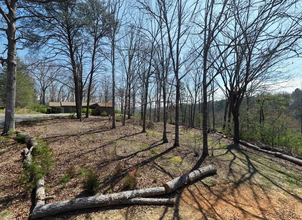 56 England Lane, Blairsville GA 30512 - Photo