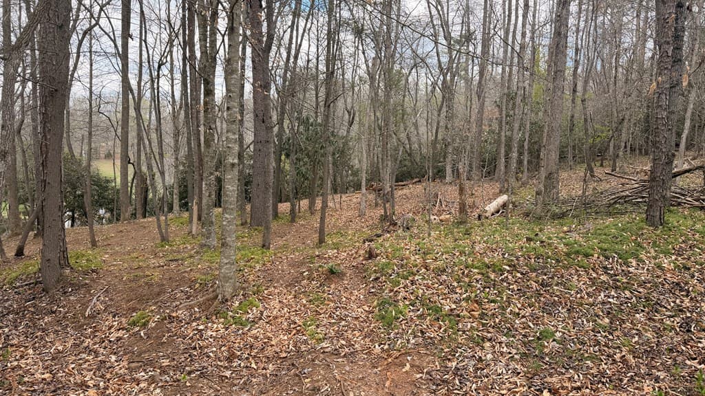 #9 Mill Creek Hollow, Hayesville NC 28904 - Photo