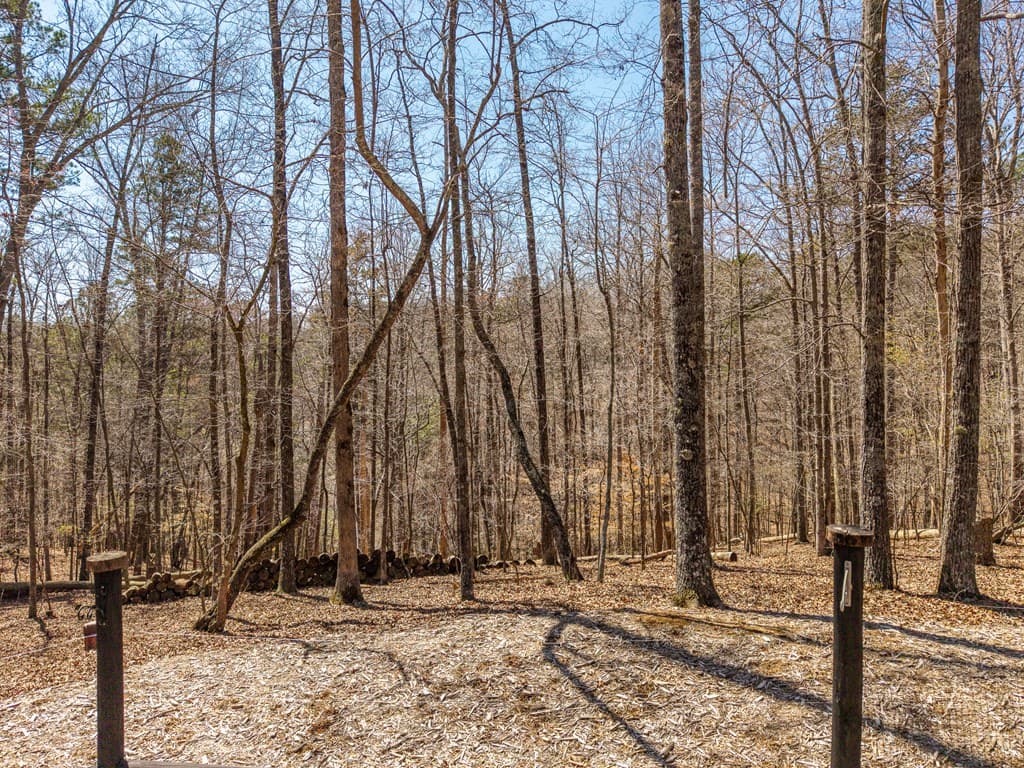 106 Lemmon Drive, Ellijay GA 30540 - Photo