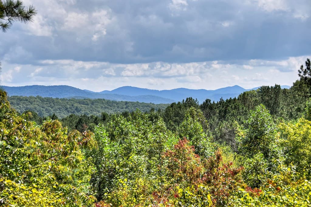 603 Redberry Ridge Road, Blue Ridge GA 30513 - Photo