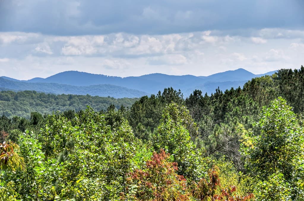 603 Redberry Ridge Road, Blue Ridge GA 30513 - Photo