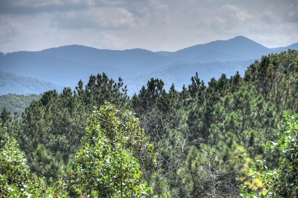 603 Redberry Ridge Road, Blue Ridge GA 30513 - Photo