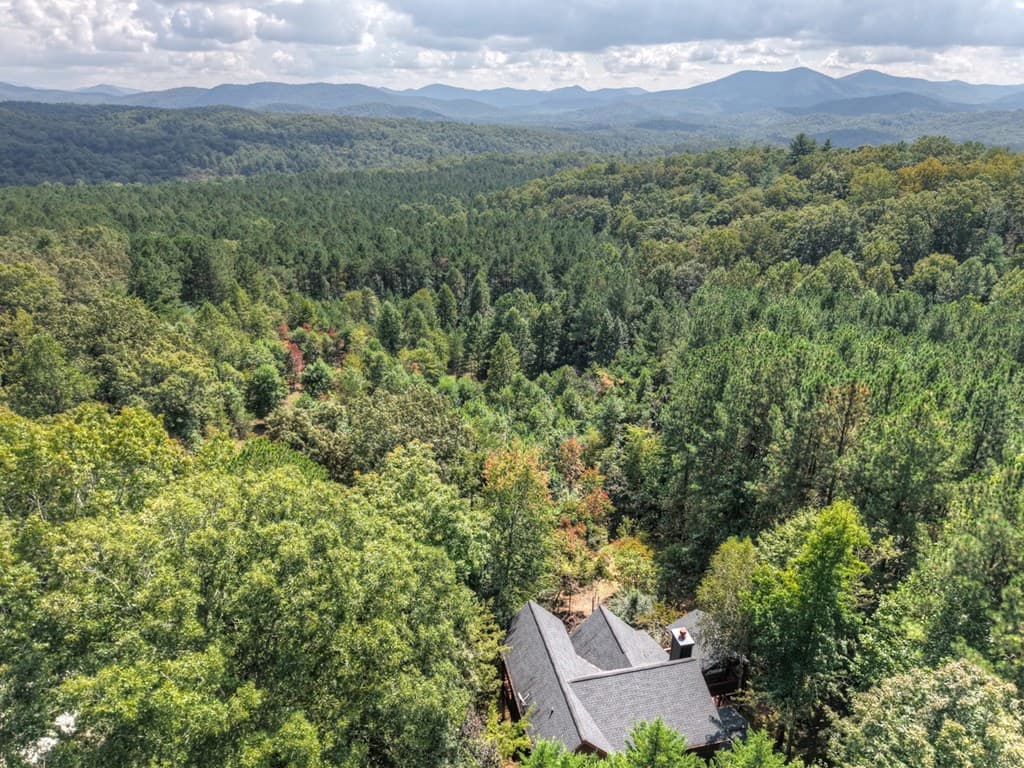 603 Redberry Ridge Road, Blue Ridge GA 30513 - Photo