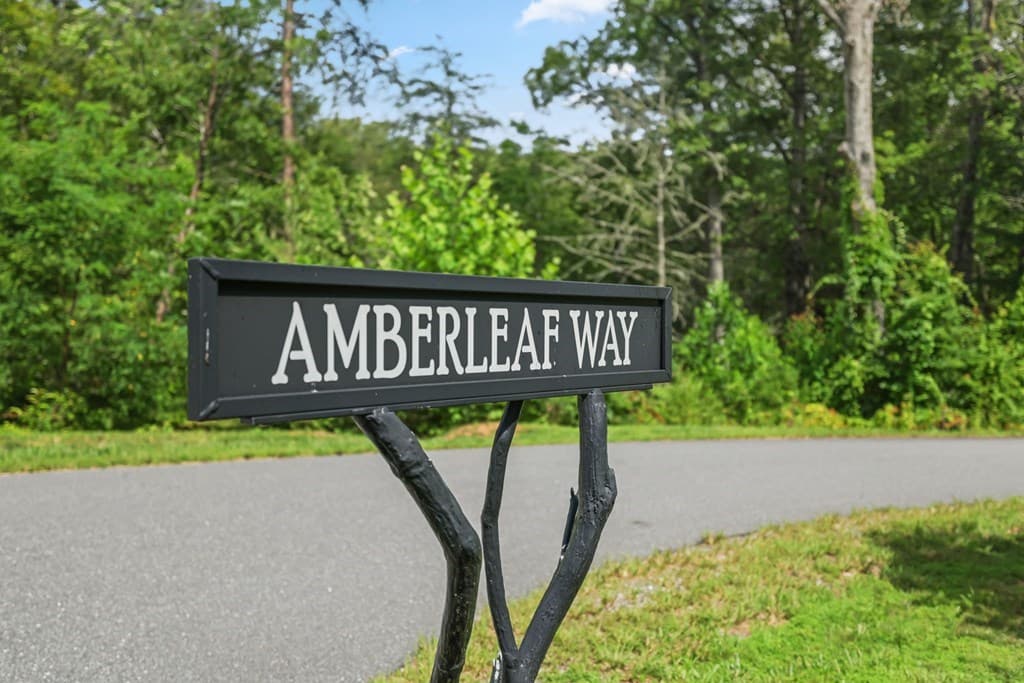 117 Amberleaf Way, Cullowhee NC 28723 - Photo