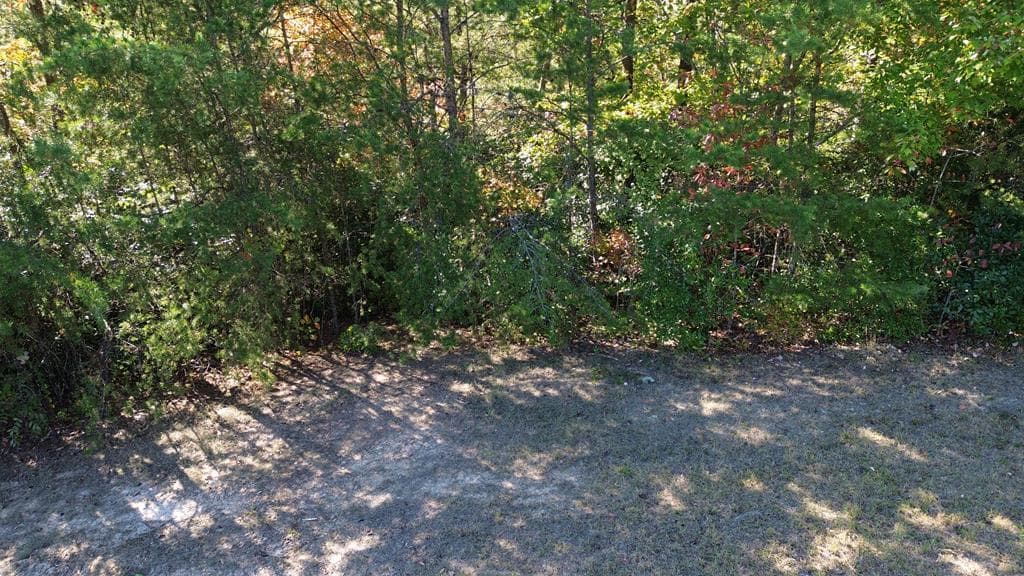 283 Golden Eagle Circle, Turtletown TN 37391 - Photo