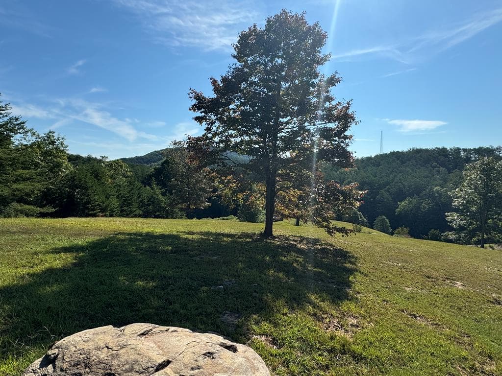 130 Golden Eagle Circle, Turtletown TN 37391 - Photo