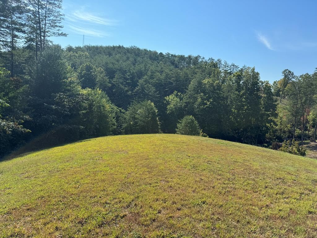 130 Golden Eagle Circle, Turtletown TN 37391 - Photo