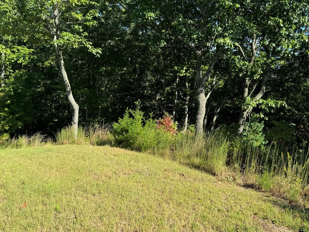 130 Golden Eagle Circle, Turtletown TN 37391 - Photo