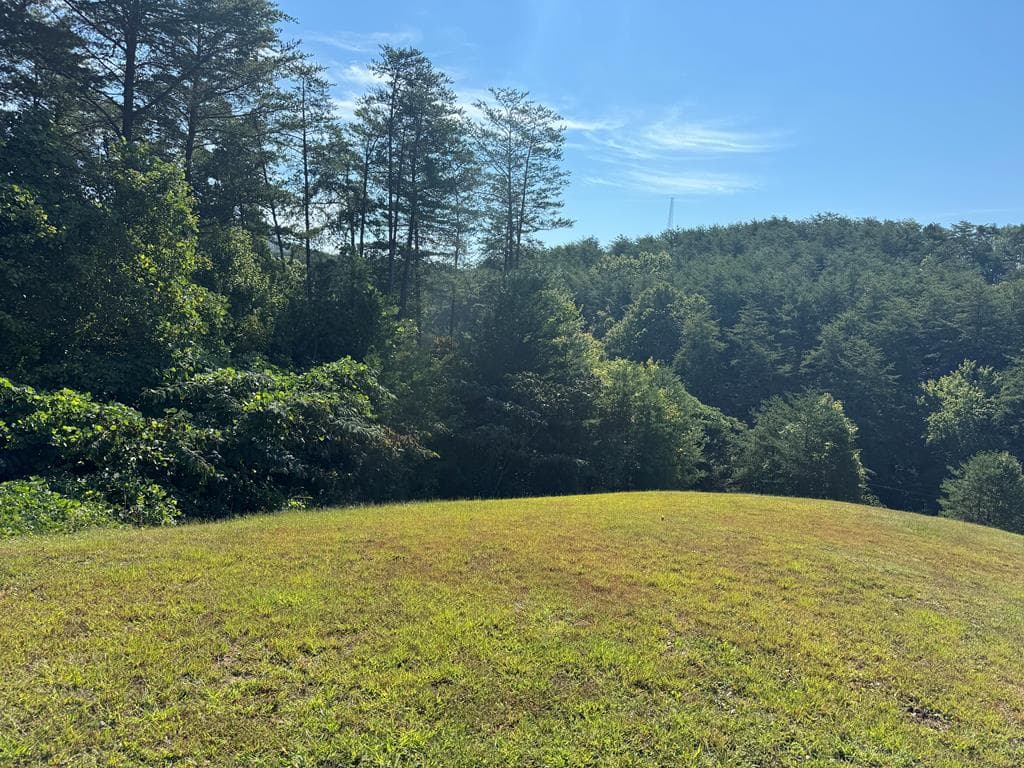 130 Golden Eagle Circle, Turtletown TN 37391 - Photo
