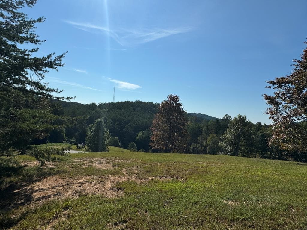 130 Golden Eagle Circle, Turtletown TN 37391 - Photo