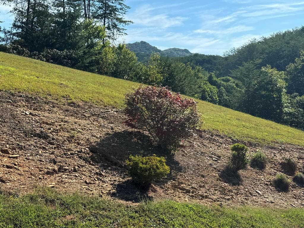 313 Golden Eagle Circle, Turtletown TN 37391 - Photo