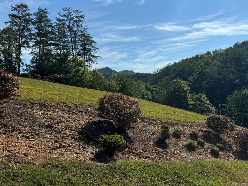 313 Golden Eagle Circle, Turtletown TN 37391 - Photo