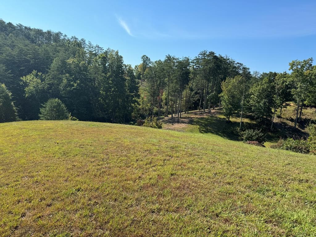 313 Golden Eagle Circle, Turtletown TN 37391 - Photo