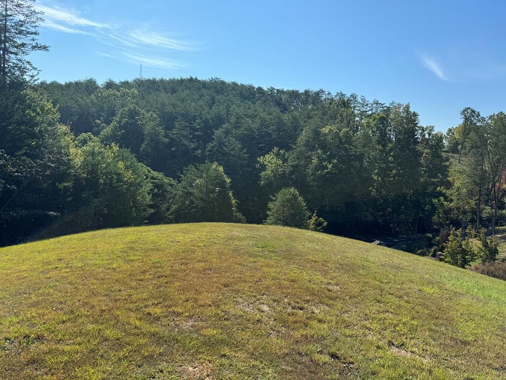 313 Golden Eagle Circle, Turtletown TN 37391 - Photo