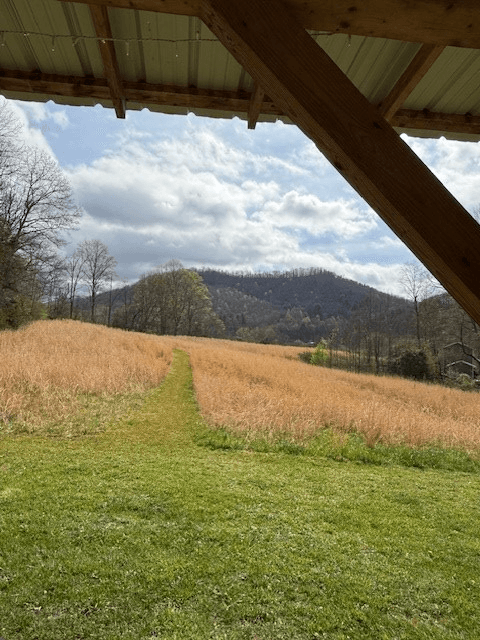 1281 NE Lawrence Smith Road, Hayesville NC 28904 - Photo