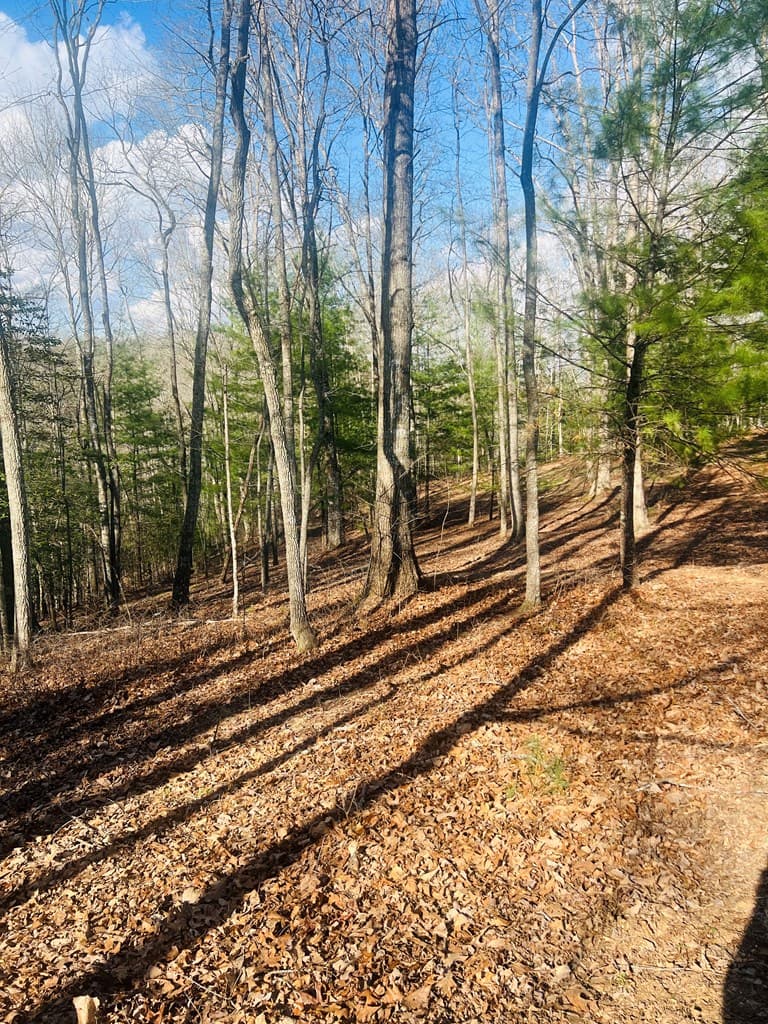 00 Ford Lane, Murphy NC 28906 - Photo