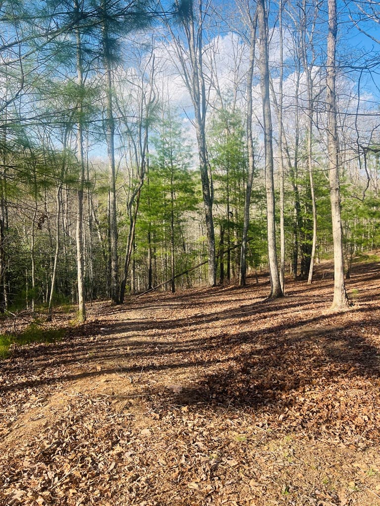 00 Ford Lane, Murphy NC 28906 - Photo