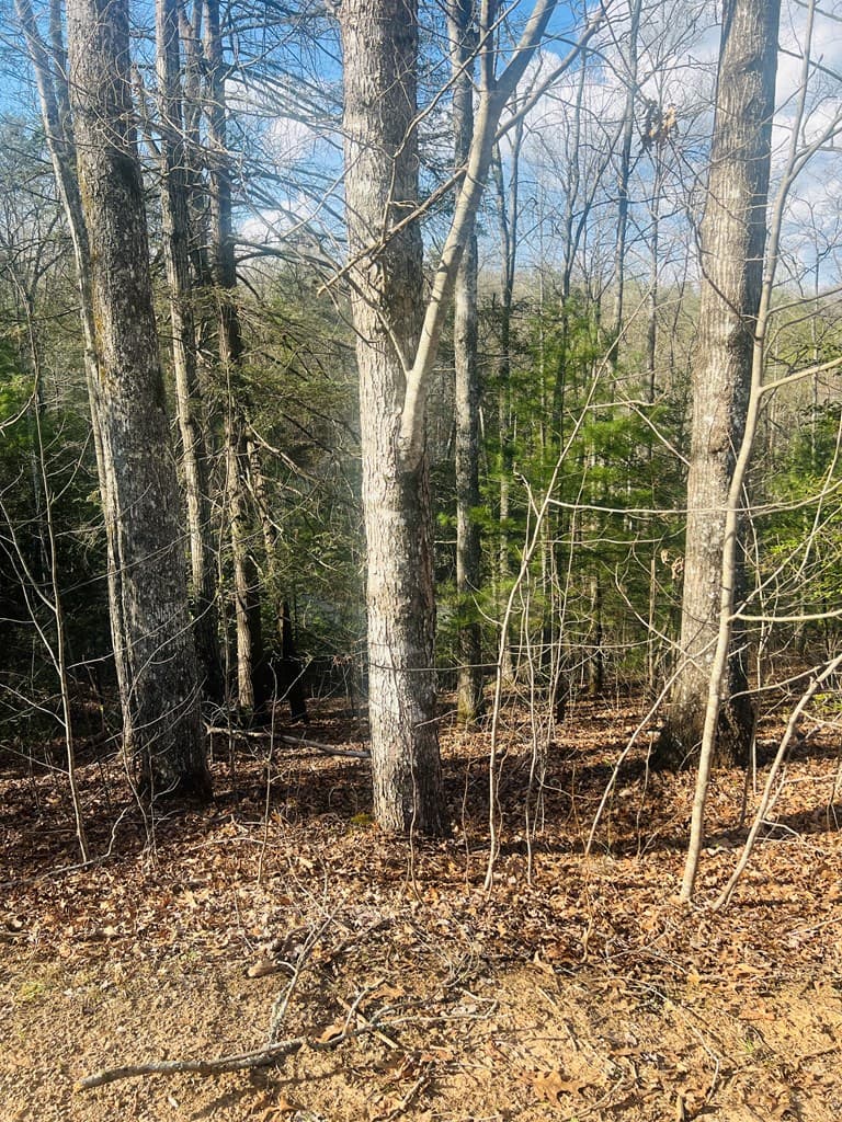 00 Ford Lane, Murphy NC 28906 - Photo