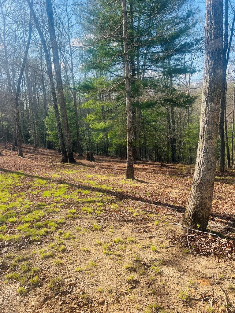 00 Ford Lane, Murphy NC 28906 - Photo