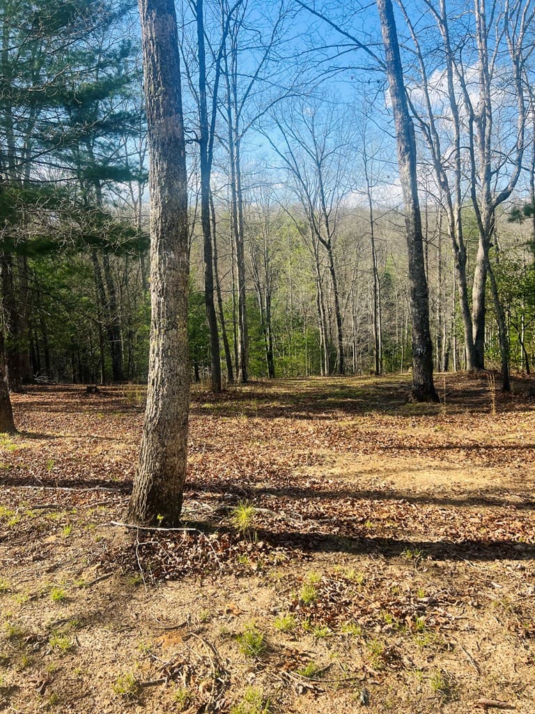 00 Ford Lane, Murphy NC 28906 - Photo