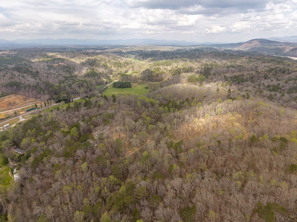 134 Nicholson Lane, Talking Rock GA 30175 - Photo