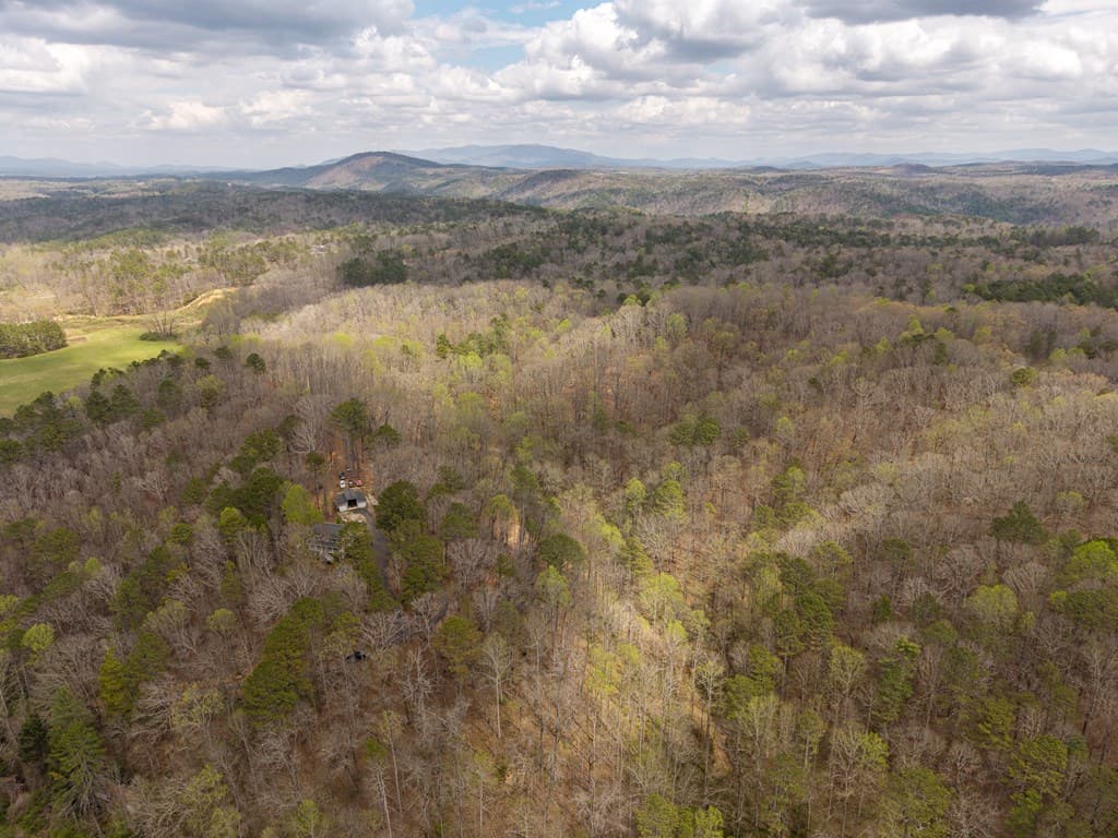 134 Nicholson Lane, Talking Rock GA 30175 - Photo