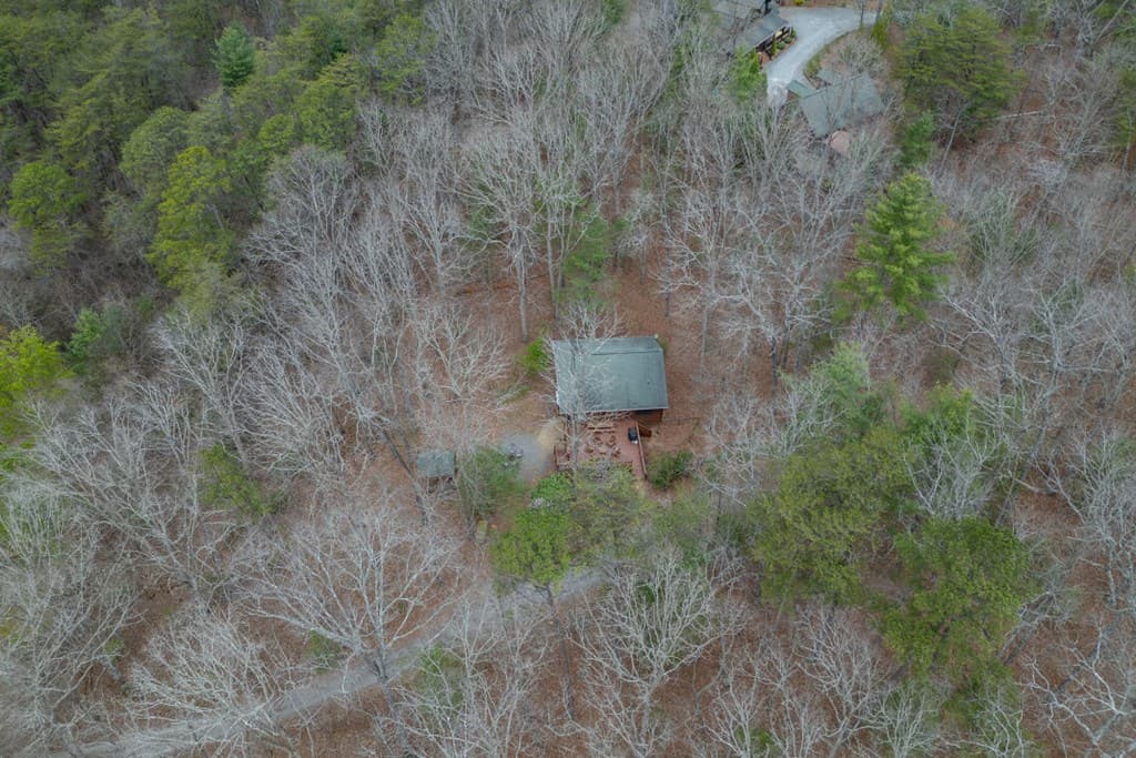 145 Fox Run Lane, Blue Ridge GA 30513 - Photo