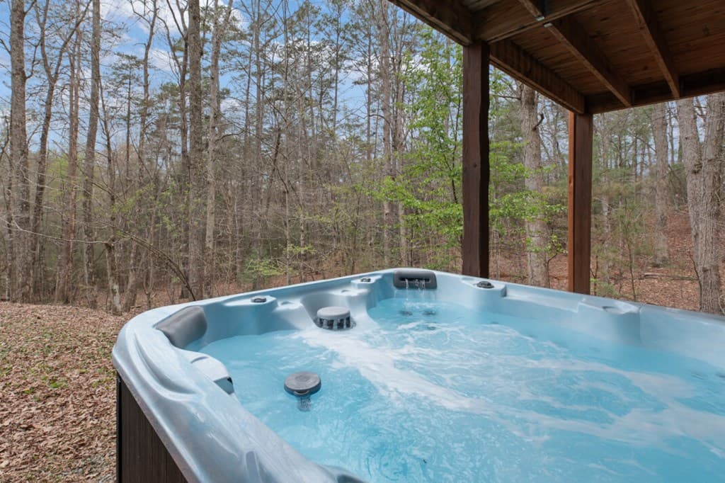 145 Fox Run Lane, Blue Ridge GA 30513 - Photo