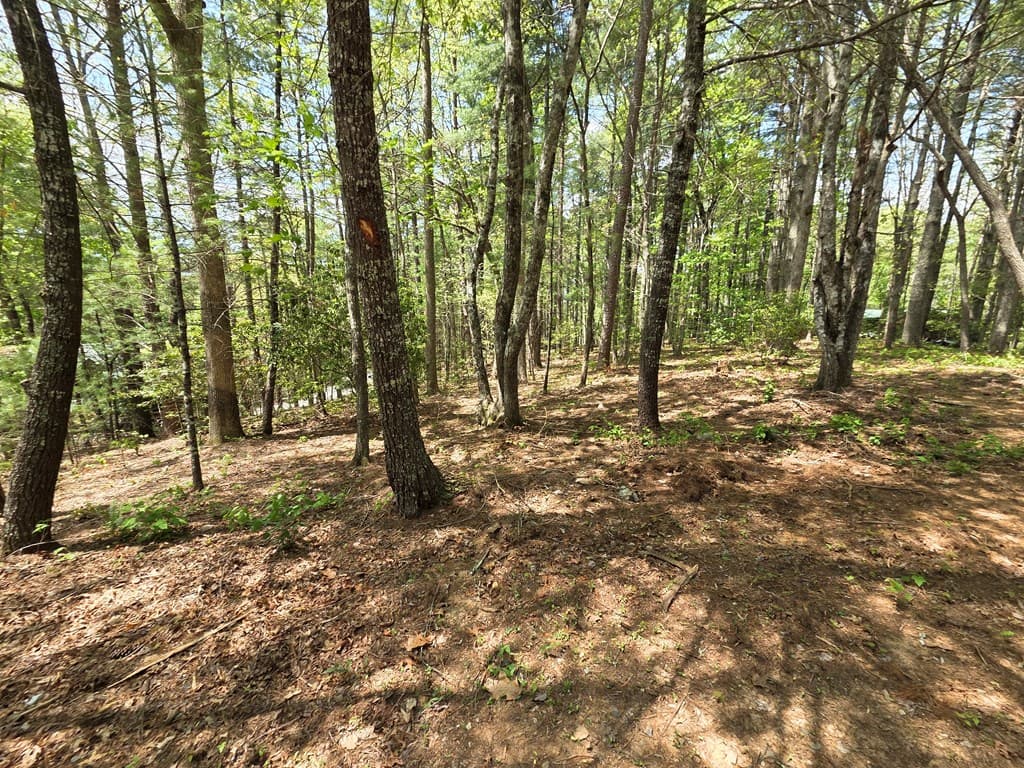 92 Misty Mountain Trail, Morganton GA 30560 - Photo