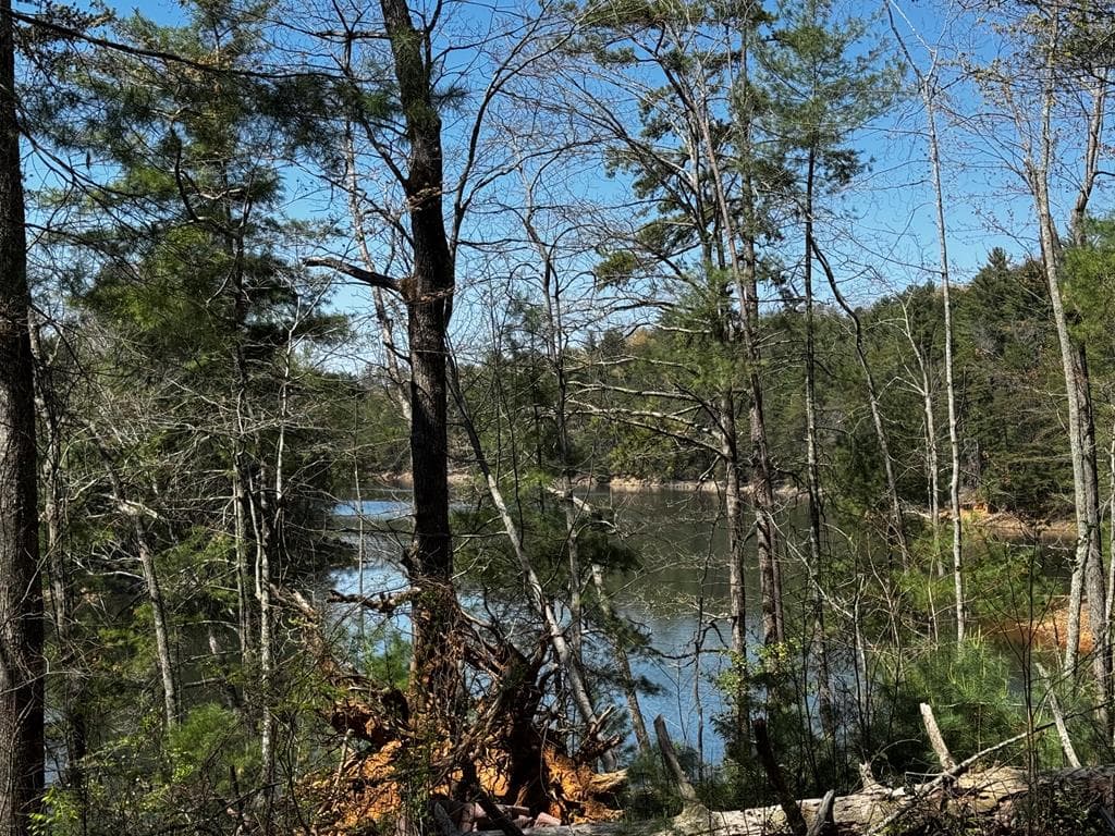 92 Misty Mountain Trail, Morganton GA 30560 - Photo