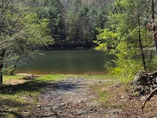 92 Misty Mountain Trail, Morganton GA 30560 - Photo