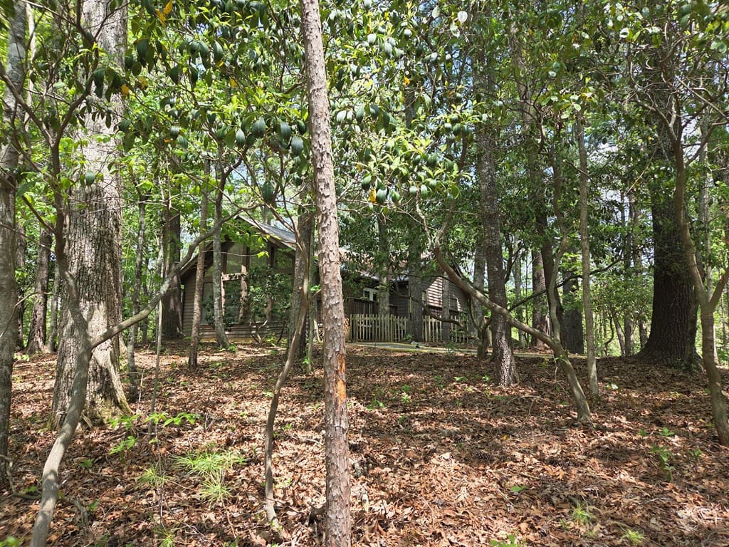 92 Misty Mountain Trail, Morganton GA 30560 - Photo