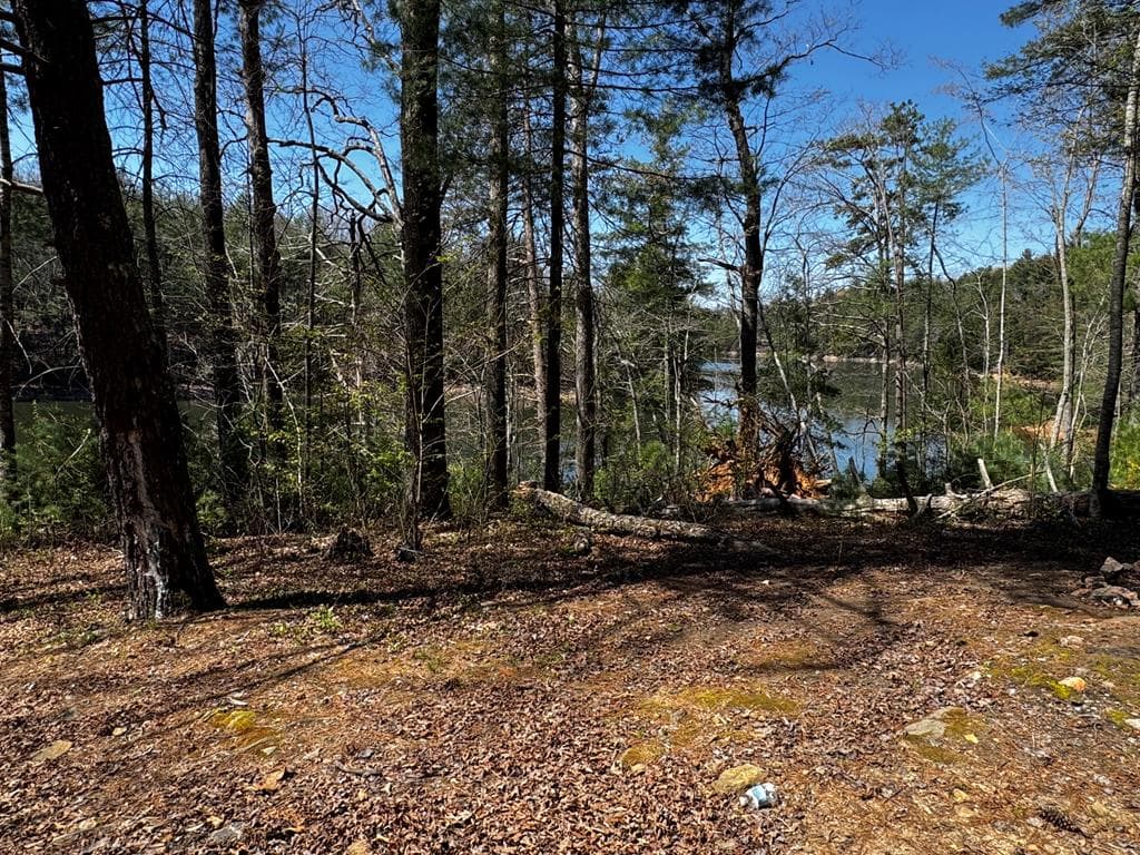 92 Misty Mountain Trail, Morganton GA 30560 - Photo