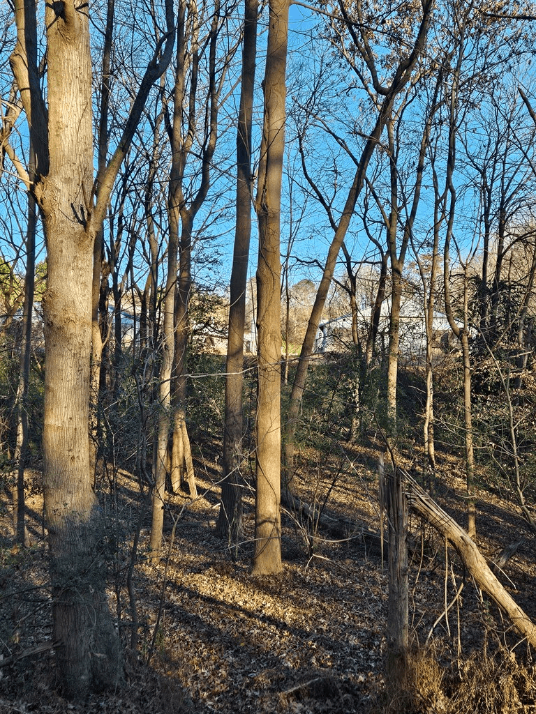 Lot 256 Elmwood Circle, Ellijay GA 30540 - Photo
