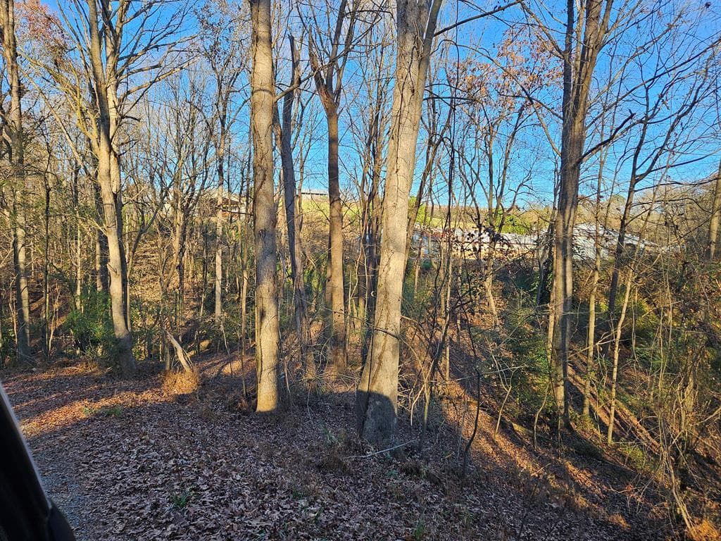 Lot 256 Elmwood Circle, Ellijay GA 30540 - Primary photo