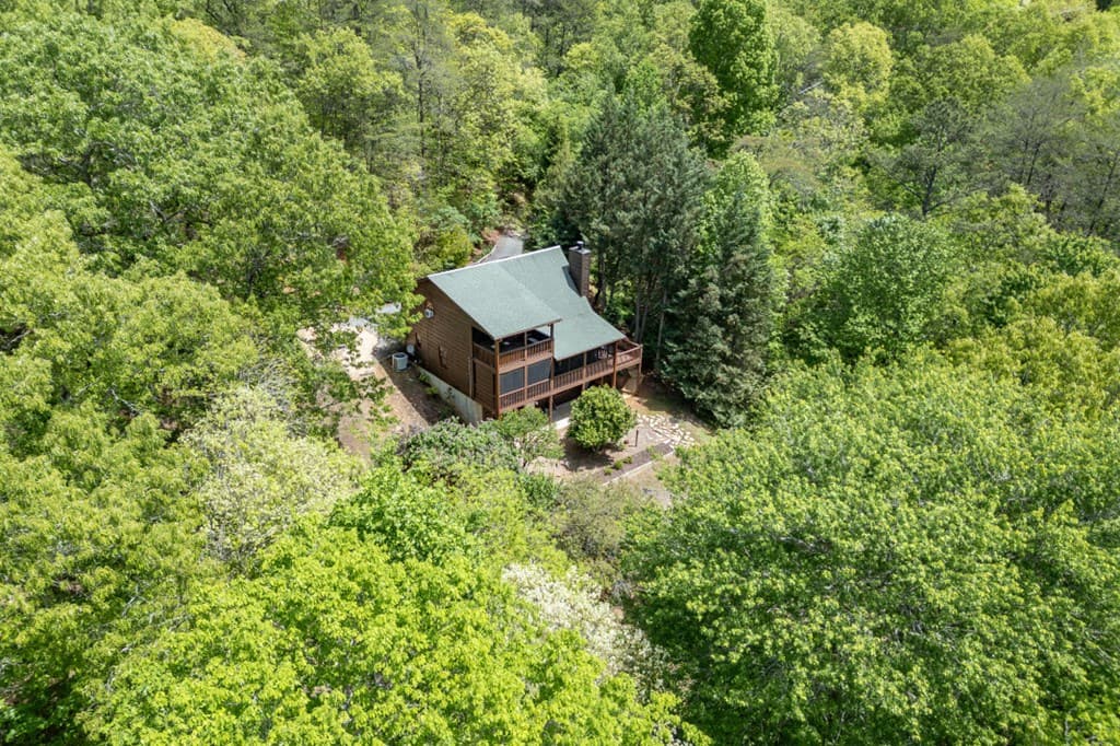 1204 Brookhaven Lane, Blue Ridge GA 30513 - Photo