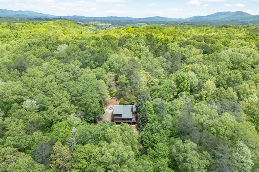 1204 Brookhaven Lane, Blue Ridge GA 30513 - Photo
