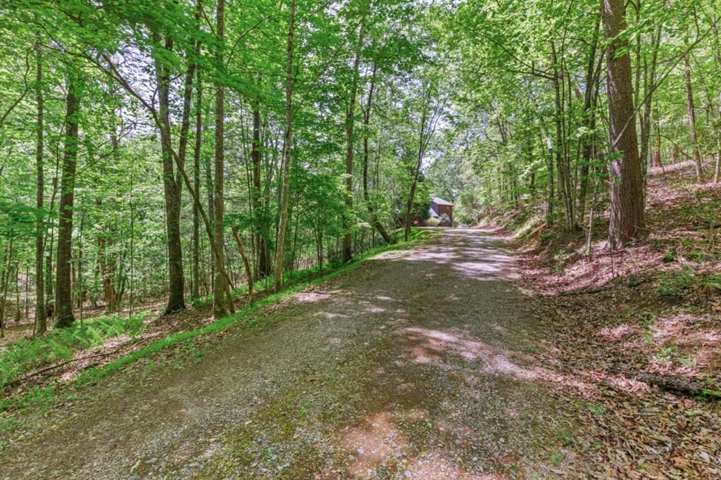 1204 Brookhaven Lane, Blue Ridge GA 30513 - Photo