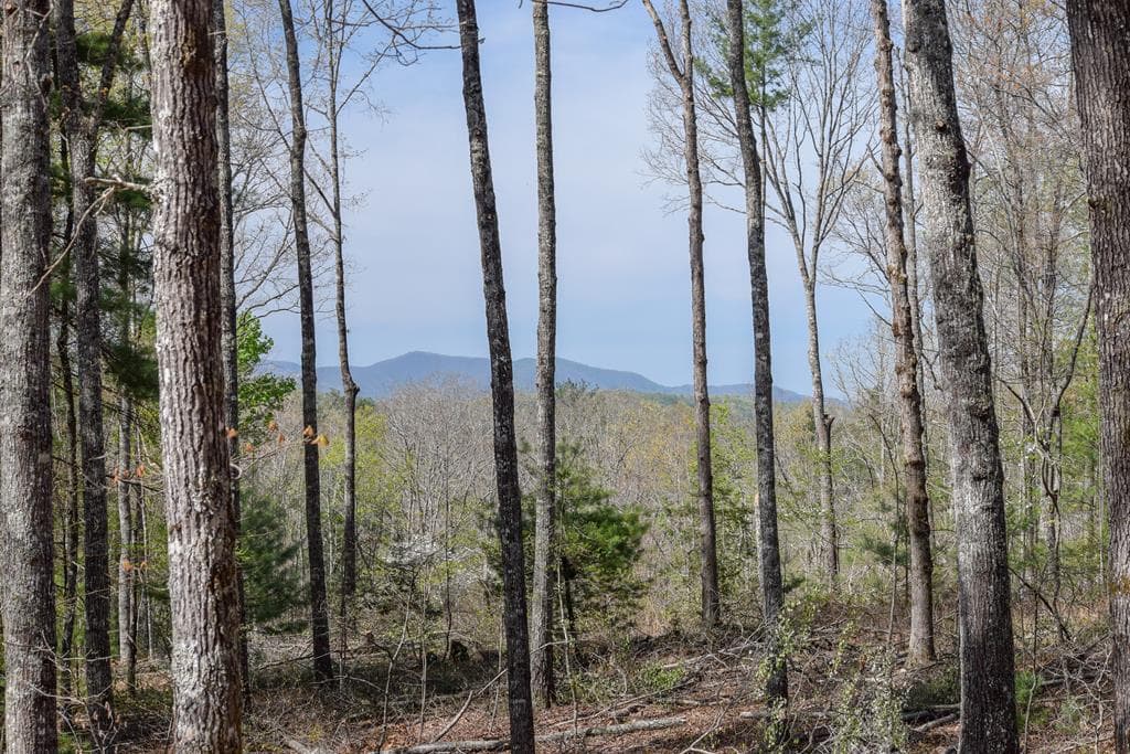 375 Ridge Brook Drive, Morganton GA 30560 - Photo