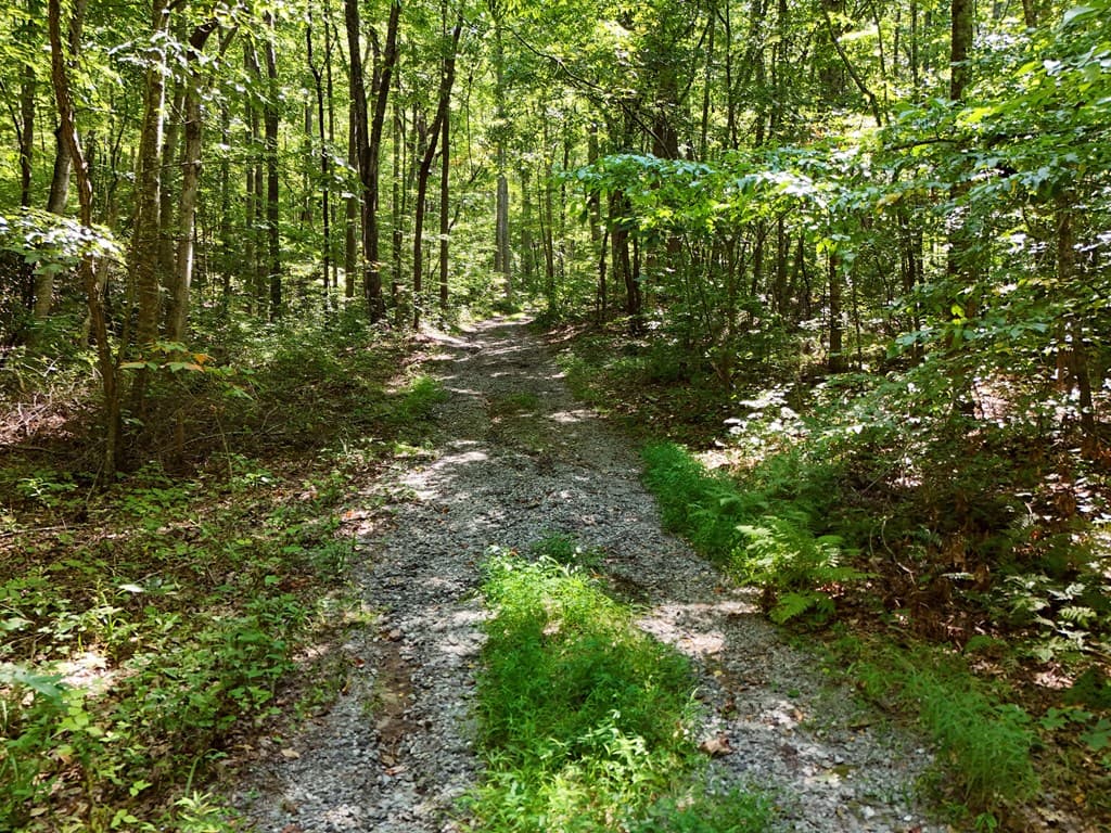 145 Ac. Bell Mountain, Hiawassee GA 30546 - Photo