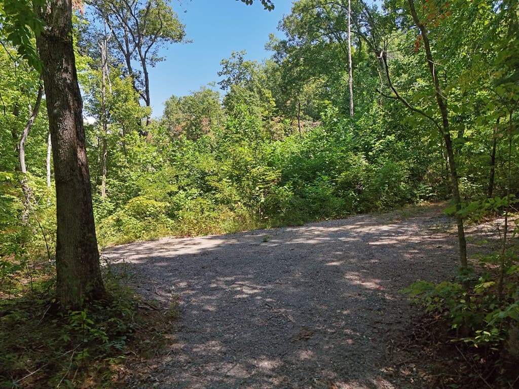 145 Ac. Bell Mountain, Hiawassee GA 30546 - Photo