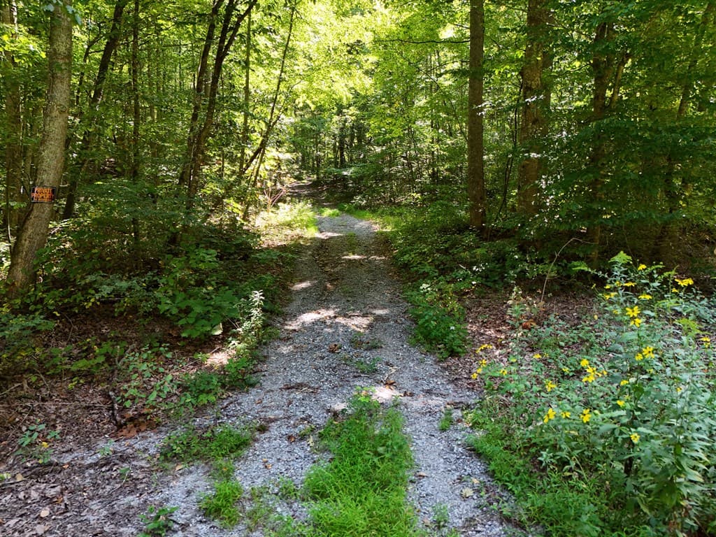 145 Ac. Bell Mountain, Hiawassee GA 30546 - Photo