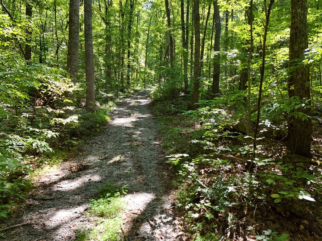 145 Ac. Bell Mountain, Hiawassee GA 30546 - Photo