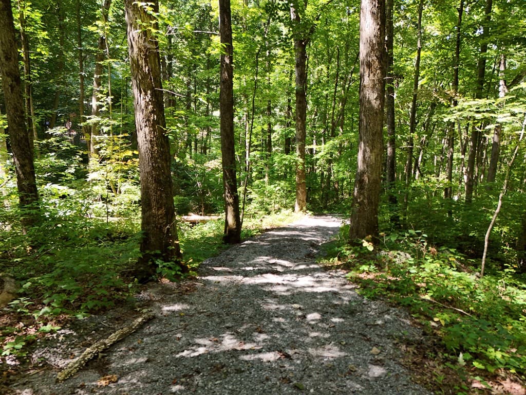 145 Ac. Bell Mountain, Hiawassee GA 30546 - Photo