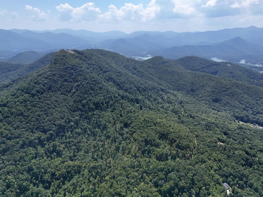 145 Ac. Bell Mountain, Hiawassee GA 30546 - Photo