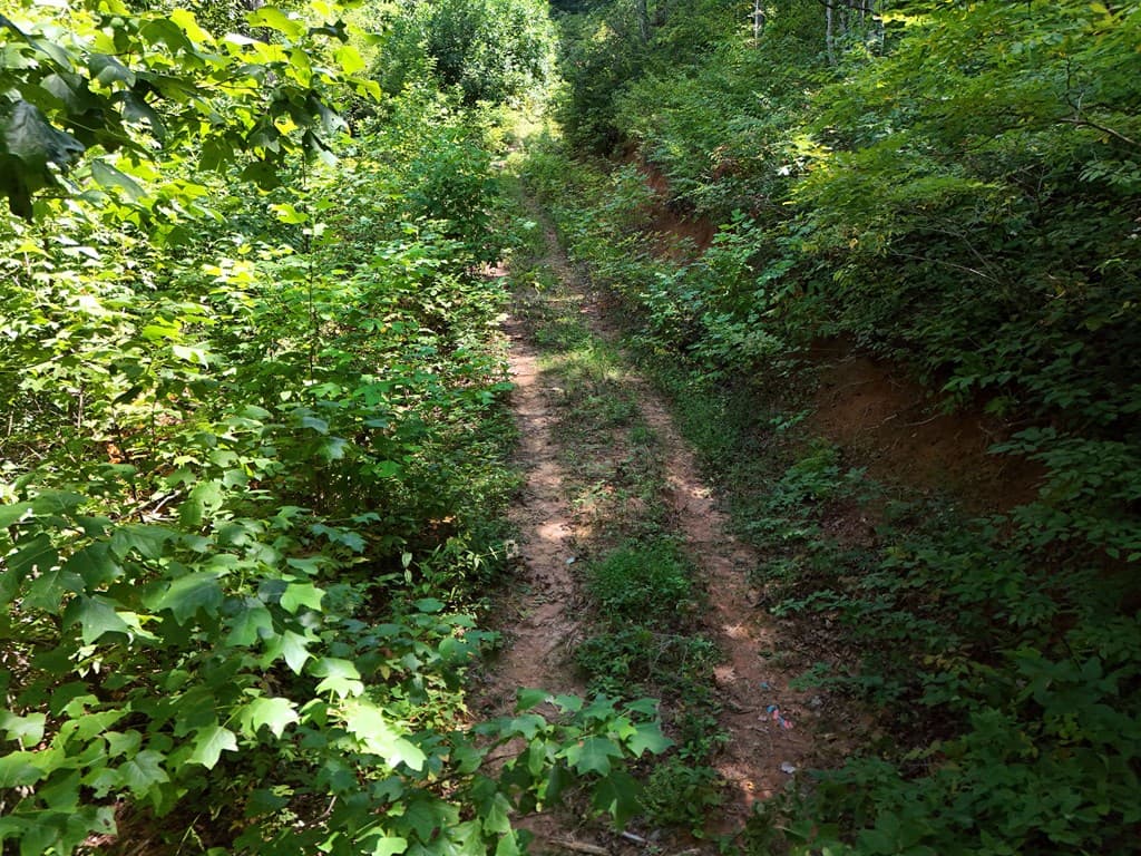 145 Ac. Bell Mountain, Hiawassee GA 30546 - Photo