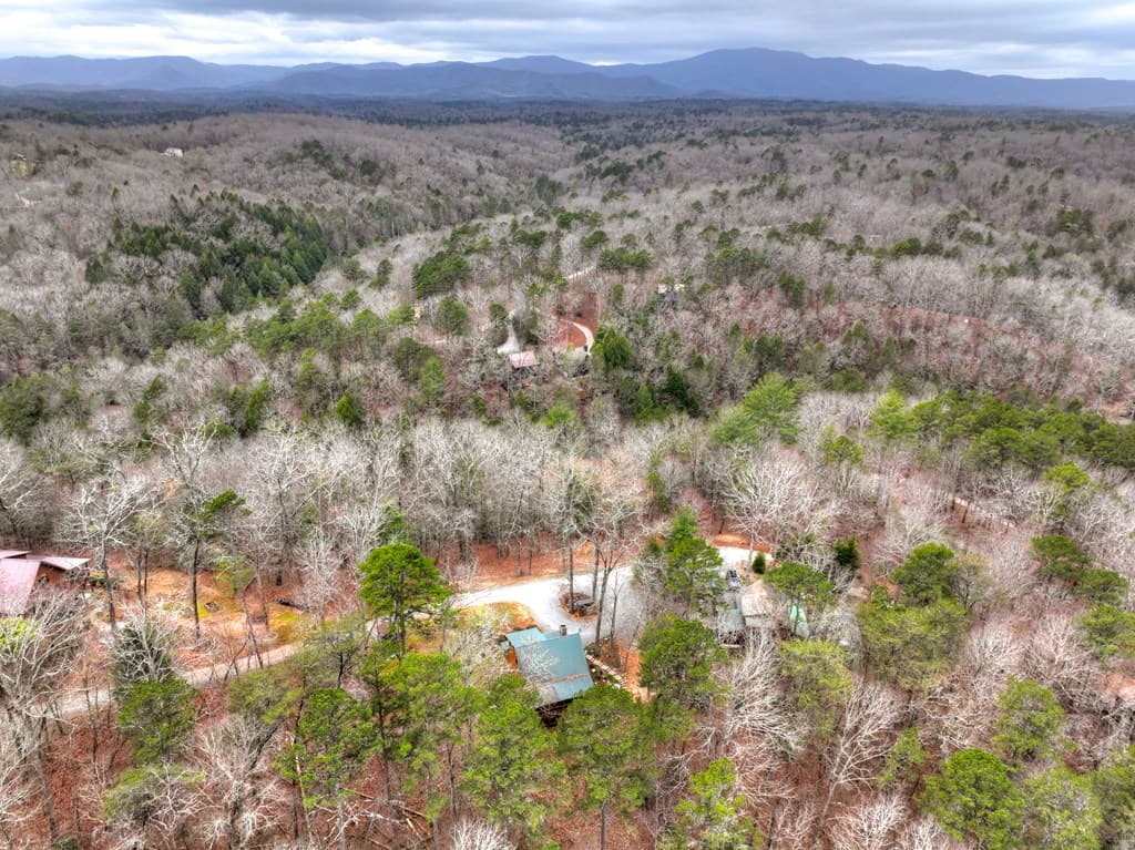 111 Roaring Creek Road, Epworth GA 30541 - Photo