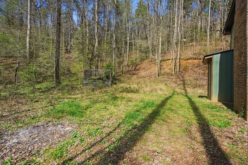1780 Conasauga Road, Ellijay GA 30540 - Photo