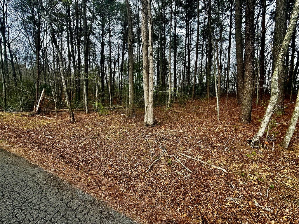 0 Hwy 68, Turtletown TN 37391 - Photo