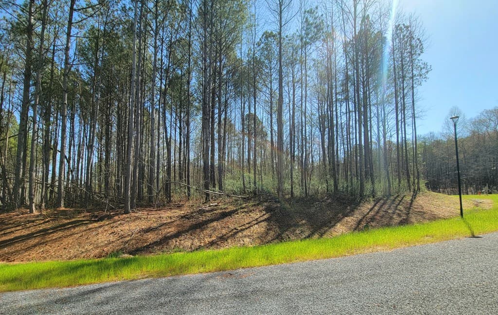68 Mountaingate Way, Ellijay GA 30536 - Photo